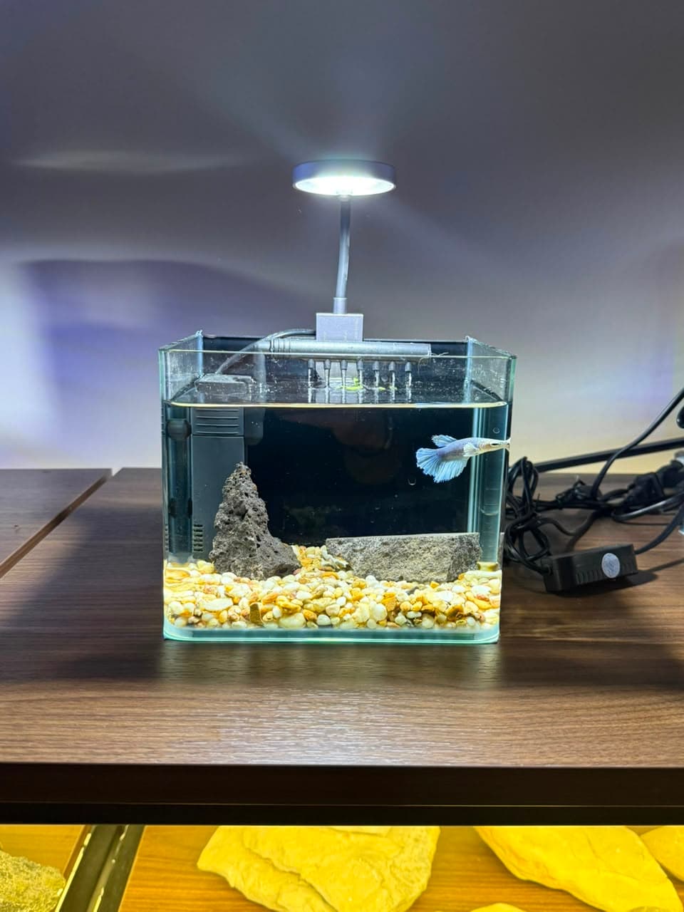 Classic Glass Cube 10L
