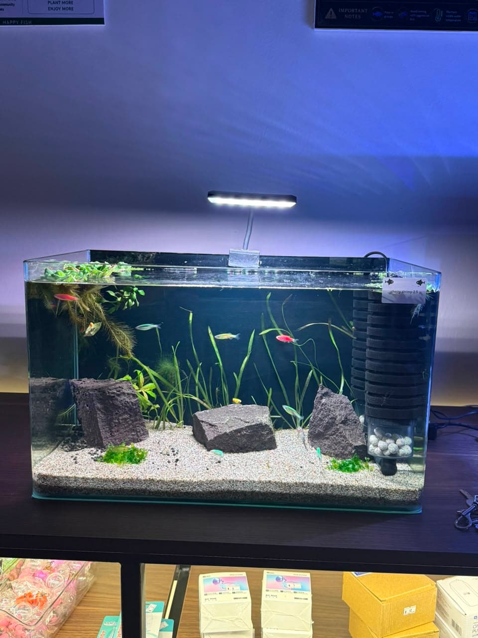 Community Planted Nano 15L